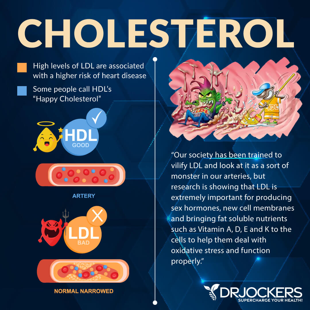 What Are The Common Misconceptions About Cholesterol And Heart Health