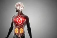 What Are The Long-Term Effects Of Untreated High Blood Pressure