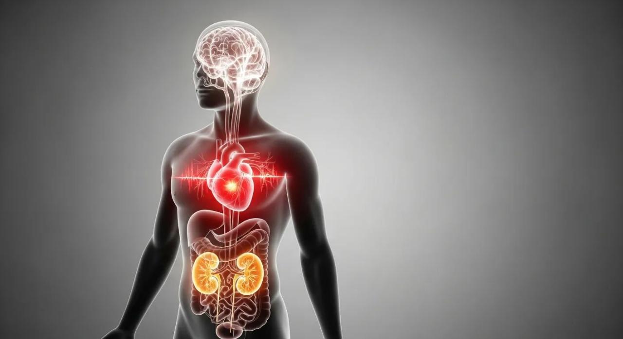 What Are The Long-Term Effects Of Untreated High Blood Pressure